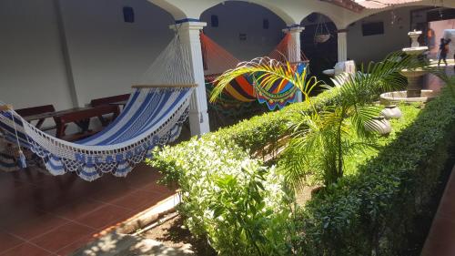 莱昂Hostal El Jardin的一间设有吊床和一些植物的房间