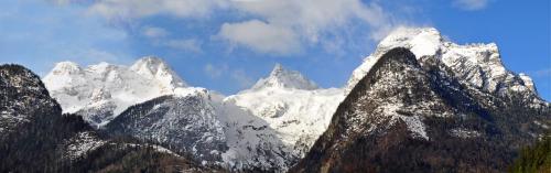 罗孚尔Hotel - Wirts'haus "Zum Schweizer"的白雪覆盖的山脉