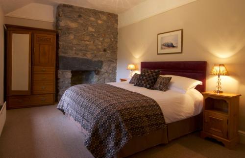 Tal-y-llynDolffanog Fawr的一间卧室配有一张床和一个石头壁炉
