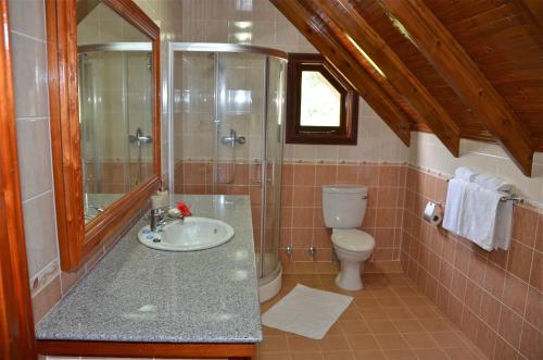 拉迪格岛帕斯永别墅的一间带水槽、淋浴和卫生间的浴室
