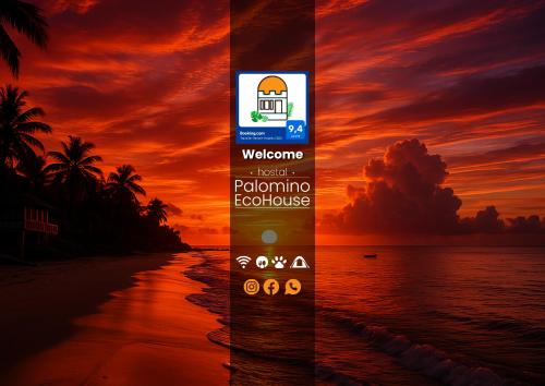 Hostal Palomino EcoHouse & Camping