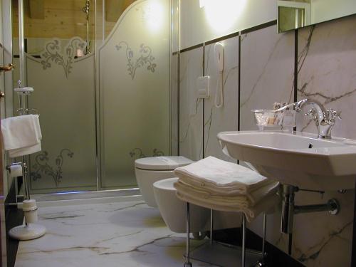 摩德纳迪-坎皮格里奥Villa Madonna的一间带水槽、卫生间和淋浴的浴室