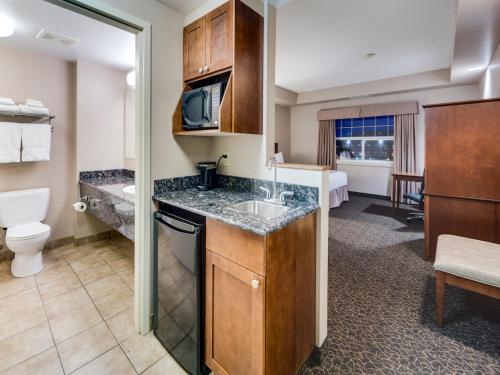 布鲁克斯赫瑞提吉布鲁克斯假日酒店的酒店客房设有带水槽和卫生间的浴室