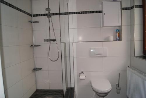特里尔Hotel Kugel的带淋浴和卫生间的浴室
