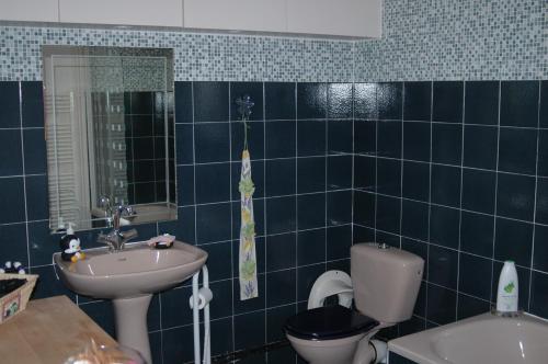 圣博内德米尔Le Jardin de Roses DOMINIQUE LOREAU的蓝色瓷砖浴室设有卫生间和水槽