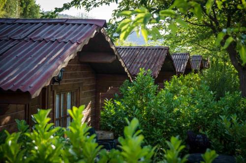皮诺斯赫尼尔Fuente del Lobo Glamping & Bungalows - Adults Only的一群有锈蚀屋顶的小木头建筑