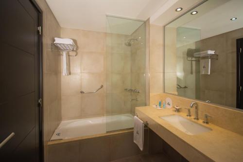 雷西斯膝西亚嘉勒酒店及会议中心的带浴缸、水槽和淋浴的浴室