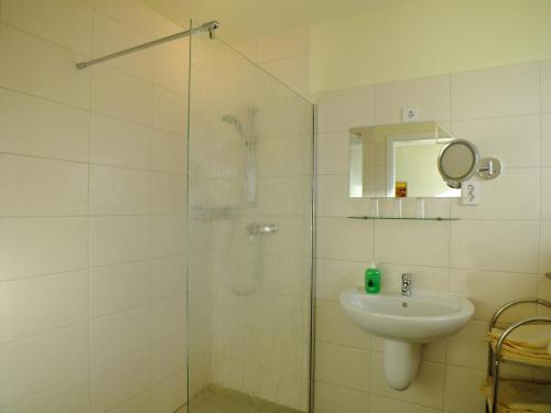奥得河畔法兰克福高登哈勒酒店的带淋浴、盥洗盆和镜子的浴室