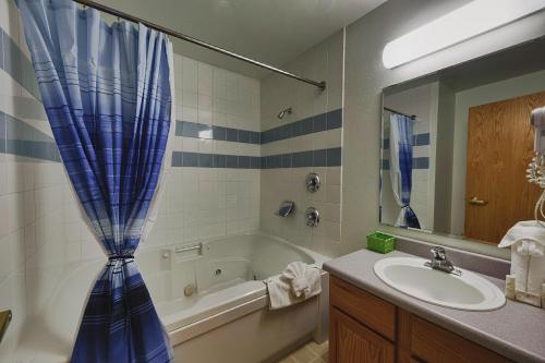 朱诺Frontier Suites Hotel in Juneau的一间带水槽和淋浴帘的浴室
