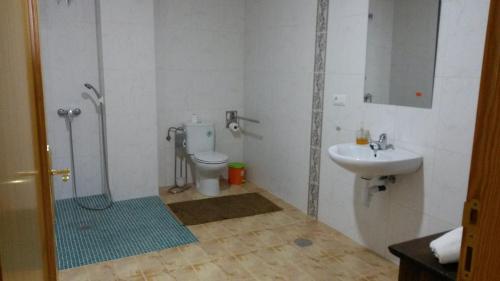 巴萨圣女皮拉尔旅馆的带淋浴、盥洗盆和卫生间的浴室