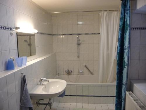马尔尼茨Landhaus Fiausch的浴室配有水槽、淋浴和浴缸。