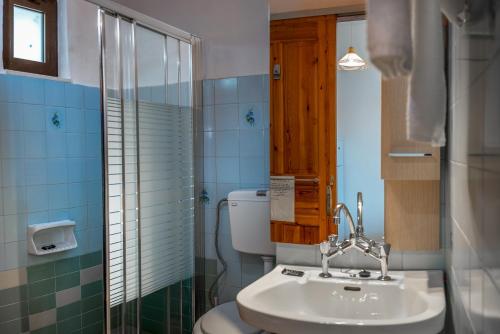 阿依弗西亚费尔马索拉里斯公寓的一间带水槽、卫生间和淋浴的浴室