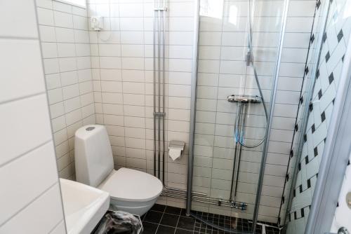Nikkaluokta伊诺克斯拉迪加夫瑞山林小屋的一间带卫生间和淋浴的浴室