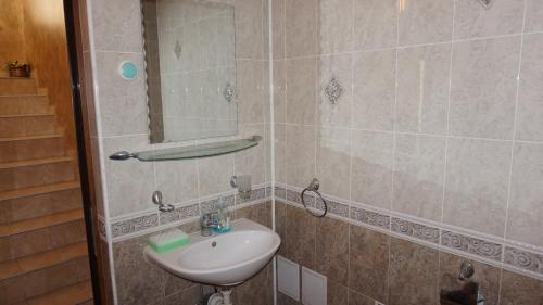希普科沃Pamir Guest House的一间带水槽和镜子的浴室