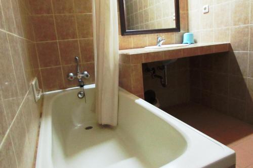 沙努尔格利亚阿玉酒店 的带浴缸和盥洗盆的浴室
