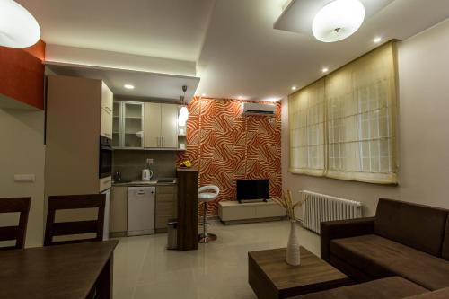 贝尔格莱德Apartments Jevremova的带沙发的客厅和厨房