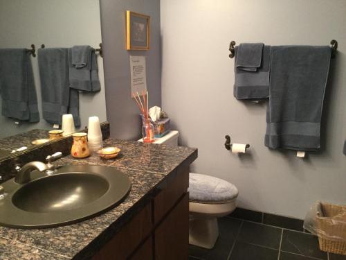 贝尔维尤瀑布景住宿加早餐旅馆的浴室配有盥洗盆、卫生间和毛巾。