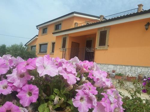 马尔扎梅米玛尔萨梅米珀杰托II住宿加早餐旅馆的房子前面的一束粉红色的花