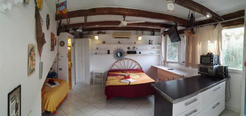 蓬扎阿普雷亚公寓酒店的一个小房子里的厨房,有一张小床