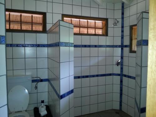 MagangaNg'ona Lodge的浴室设有蓝色和白色瓷砖,配有卫生间