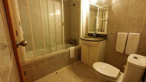 维拉·普拉亚·德·安科拉Apartamentos Turísticos Vila Praia的浴室配有卫生间、淋浴和盥洗盆。
