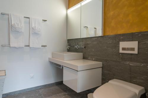 弗利姆斯Edelweiss Mountain Suites 04-01的一间带水槽、卫生间和镜子的浴室