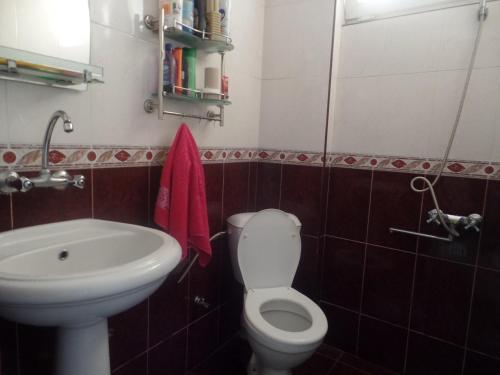 博尔若米Guesthouse Natalia的浴室配有白色卫生间和盥洗盆。