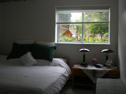 纳奈莫岛景住宿加早餐酒店的一间卧室设有一张床和一个窗口