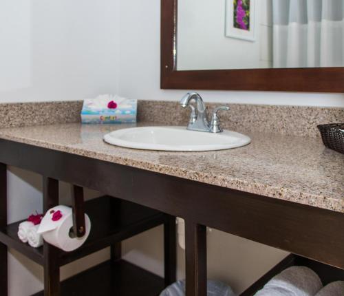 洛尼湾村Starfish St Lucia - All Inclusive的浴室的柜台设有水槽和镜子