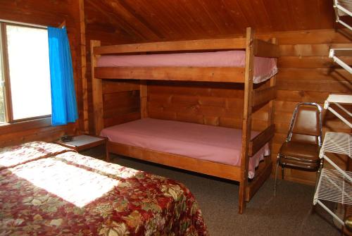 拉康纳La Conner Camping Resort Deluxe Cabin 5的小屋内设有一间带两张双层床的卧室