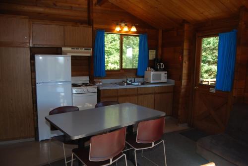 拉康纳La Conner Camping Resort Cabin 15的厨房配有冰箱和桌椅