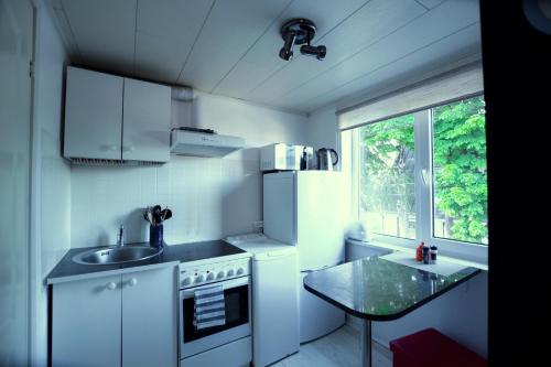 派尔努A5 Studio的一间带水槽和冰箱的小厨房