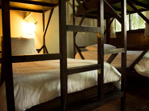 丛林健身房和生态旅馆客房内的一张或多张双层床