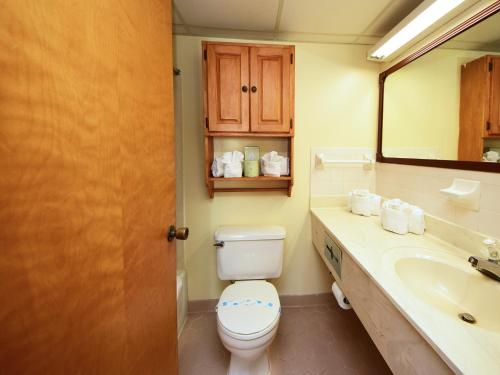 默特尔比奇沙南假日酒店的一间带卫生间、水槽和镜子的浴室