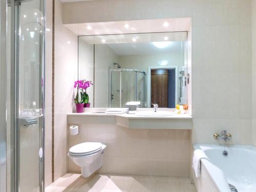 查尔维尔Charleville Park Hotel & Leisure Club IRELAND的一间带卫生间、水槽和镜子的浴室