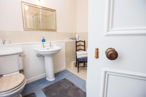 斯特拉斯佩弗Holly Lodge的一间带卫生间、水槽和镜子的浴室