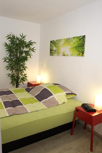 Ransbach-Baumbachbusiness + life apartment ferienwohnung的一间卧室,配有一张带两盏灯和一根植物的床