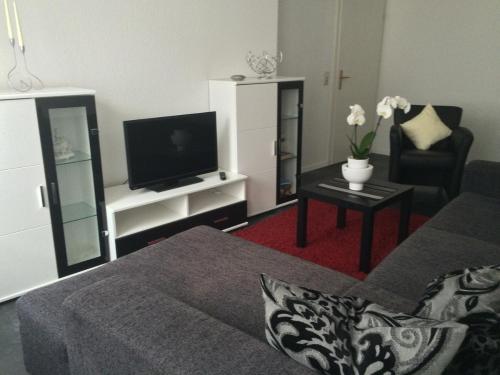 迈宁根Anton-Ulrich Apartment的客厅配有沙发、电视和椅子