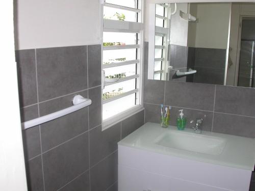 圣安娜Maison de Vacances à St Anne Martinique的一间带水槽和镜子的浴室