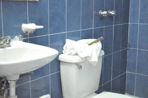 伊拉普阿托Hotel Viena的浴室配有卫生间、水槽和毛巾。