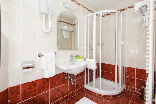 兹雷切Hotel Brinje的一间带水槽和淋浴的浴室