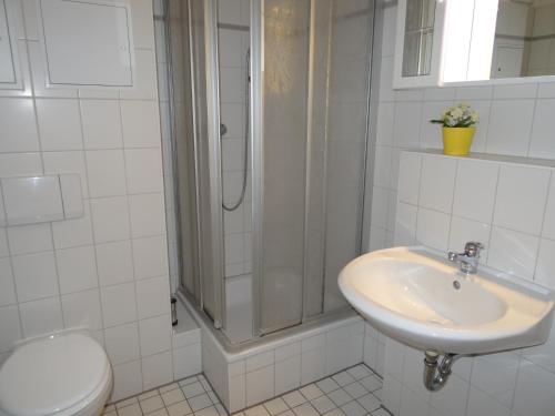 奥斯特巴德里克Apartmentanlage "Am Salzhaff"的一间带水槽、淋浴和卫生间的浴室