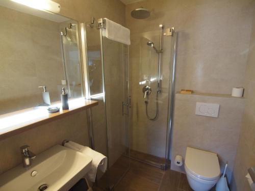 因斯布鲁克宋恩霍夫酒店的带淋浴、卫生间和盥洗盆的浴室