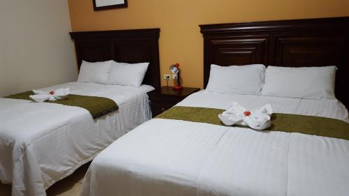 拉塞瓦皮科波尼公寓酒店的在酒店房间设有两张床,里面装满了动物