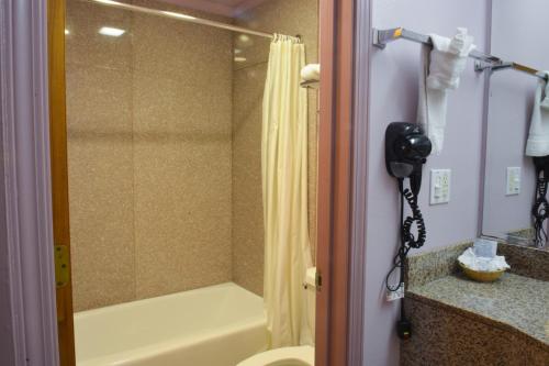 圣何塞The Flamingo Motel San Jose的带淋浴、卫生间和摄像机的浴室