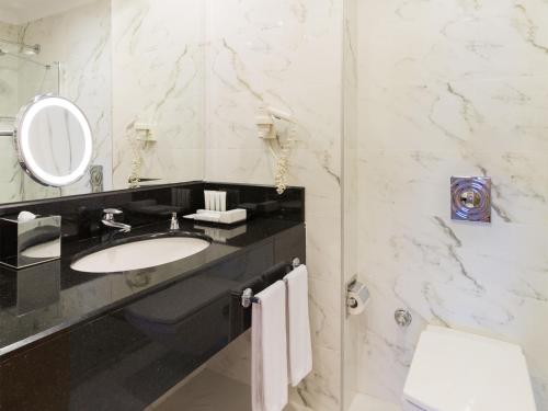 安卡拉安卡拉大都会酒店的一间带水槽、镜子和卫生间的浴室