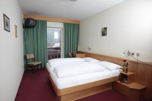 塞尔瓦迪加尔代纳山谷阿尔派普兰酒店的酒店客房设有床和窗户。