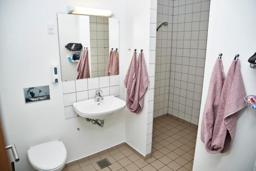 科灵科灵大宿舍酒店的一间带水槽、卫生间和镜子的浴室