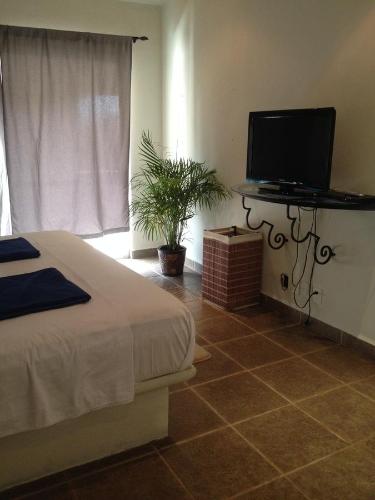 普拉亚卡门Quinta Palmeras的一间卧室配有一张床和一台平面电视