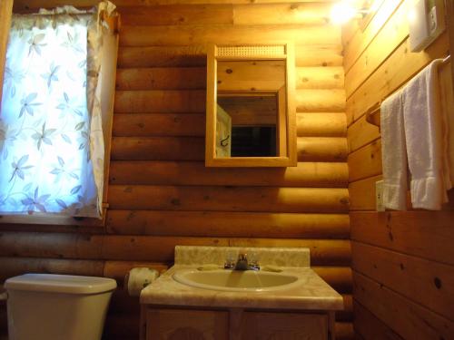 Margaree Forks印第安雪松木屋假日公园的一间带水槽、卫生间和镜子的浴室
